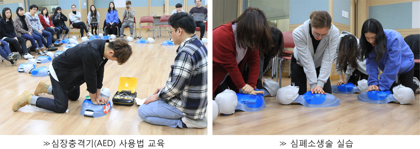 안전칼럼.jpg