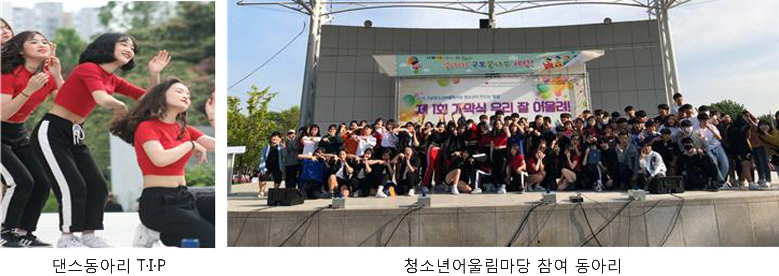 축제1.jpg