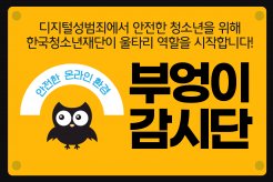 부엉이감시단이 곧 출범합니다!